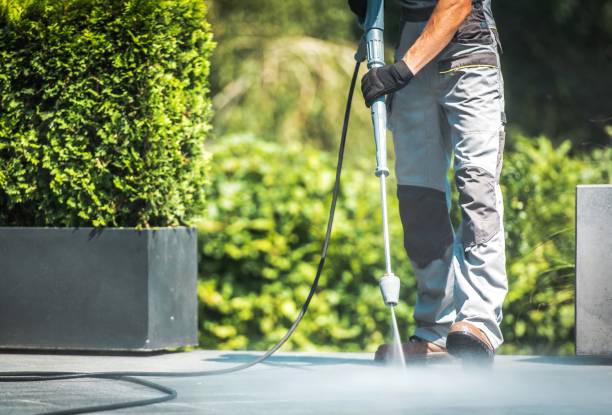 Animal Enclosure Cleaning in Garnet, CA